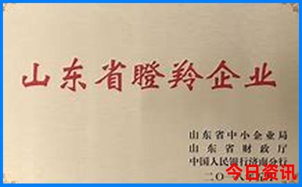 阿拉善南寺风景区游玩攻略